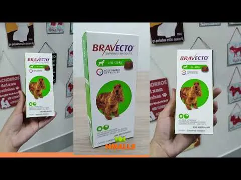 Bravecto 500mg Antipulgas e Carrapatos para Cães de 10 A 20 Kg