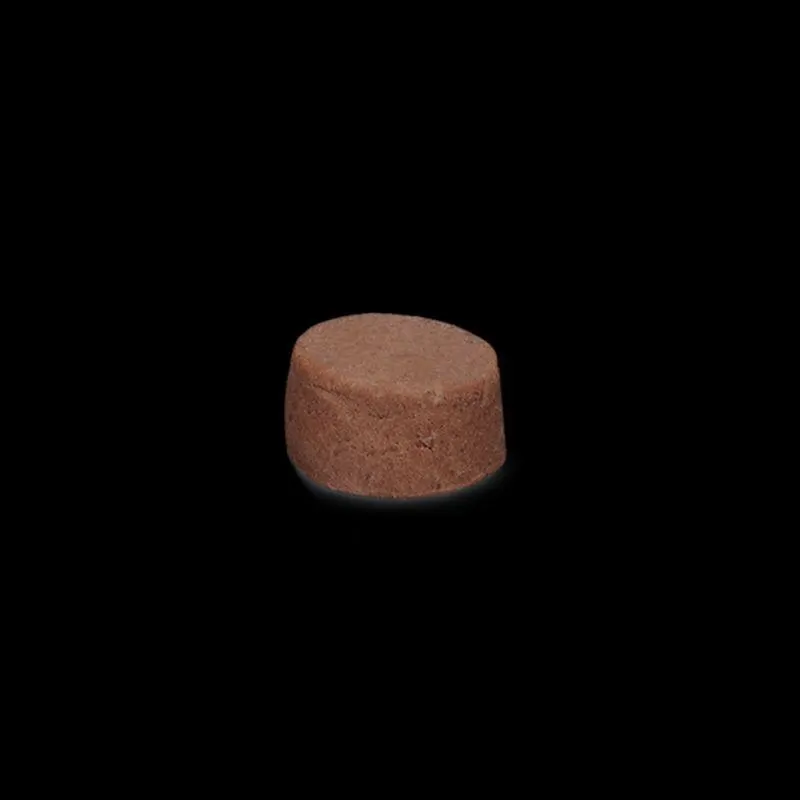 Bravecto 500mg Antipulgas e Carrapatos para Cães de 10 A 20 Kg