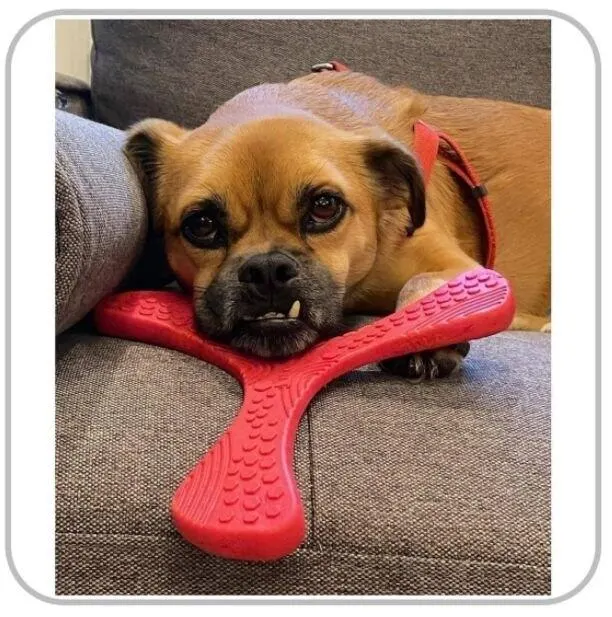 Brinquedo P/ Pet Cachorros Mordedor N-gage Propeller Regular