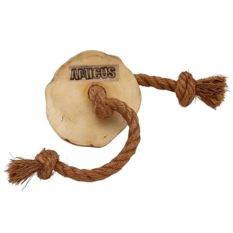 Brinquedo Amicus Coconut Disco Sustentável