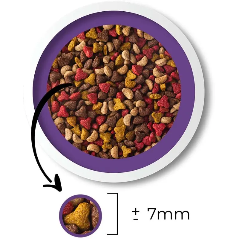 Ração Besser Gourmet para Gatos Adultos 20 Kg