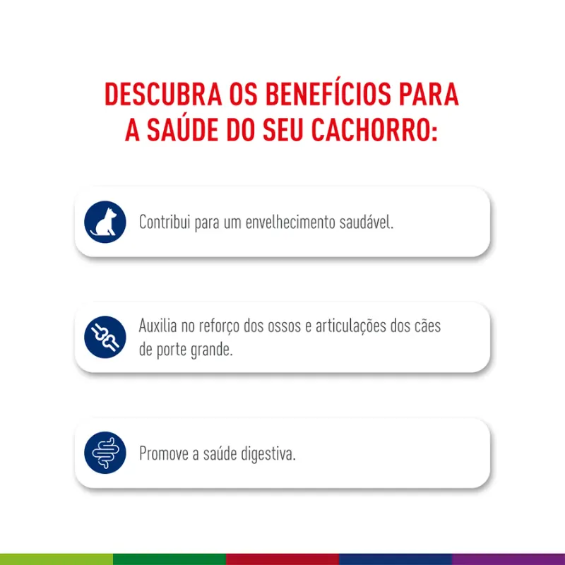 Ração Royal Canin Maxi Ageing 8+ Cães Sênior 12 Kg