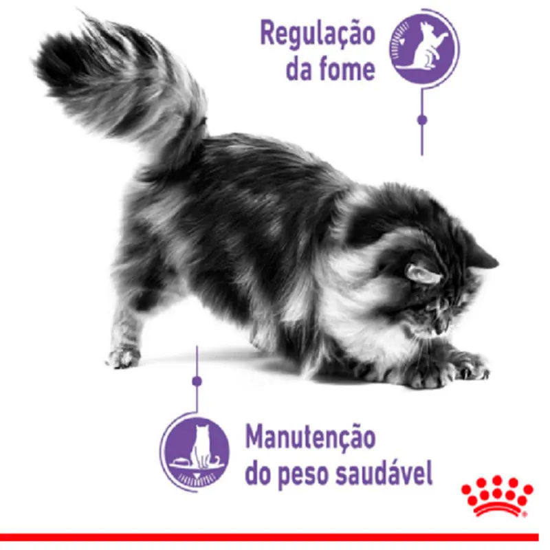 Ração Úmida Royal Canin Sachê Controle do Apetite para Gatos Adultos 85 g