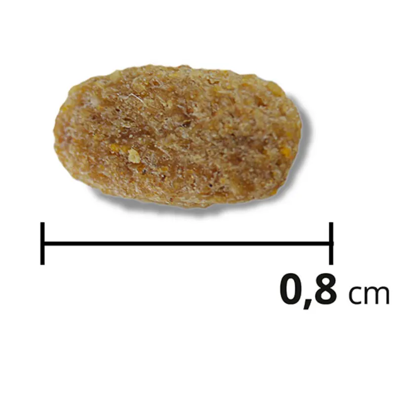 Ração Max Cães Sênior de Tamanho Médio Grande Sabor Frango e Arroz 15 Kg