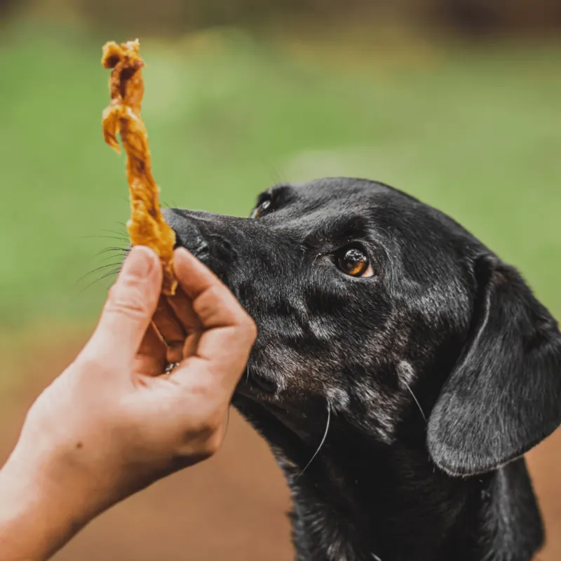 Natuka Tiras Suina para Cães - 60 g
