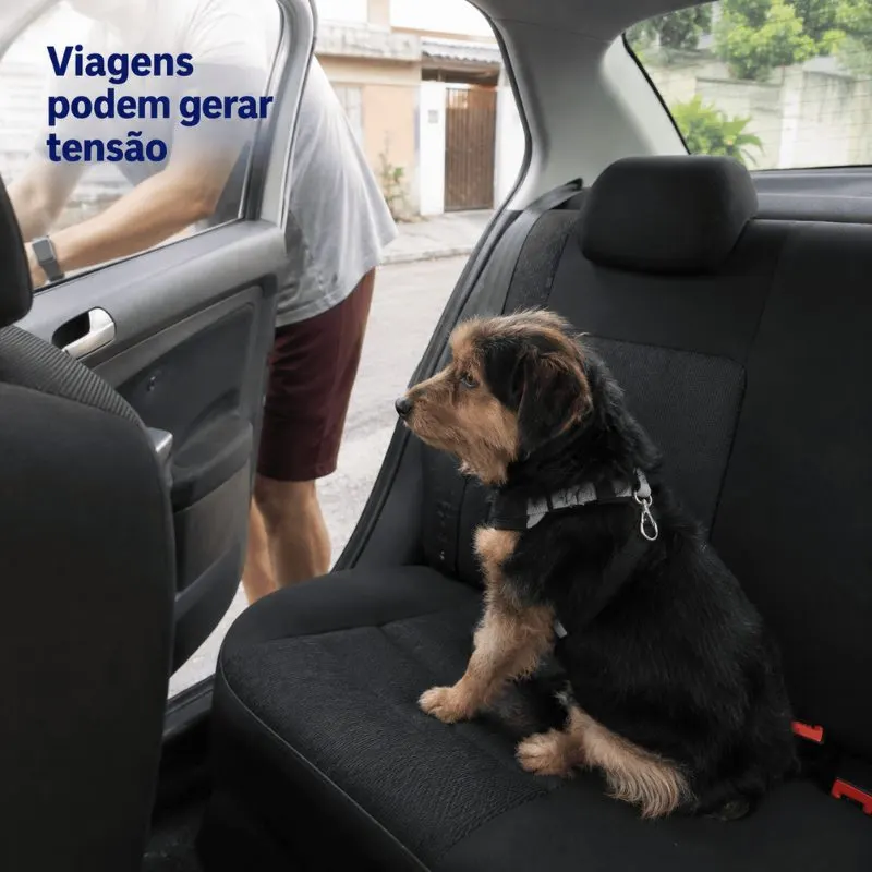 Serenex Spray Canino 70 ml König