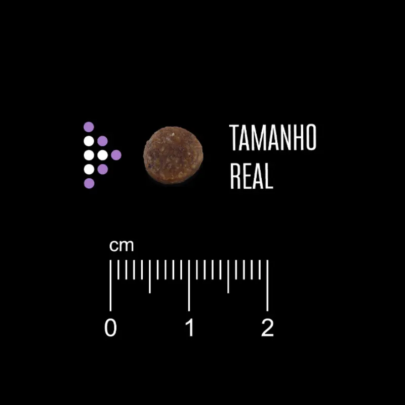 Ração Equilíbrio para Cães Adultos de Pequeno Porte Sabor Frango