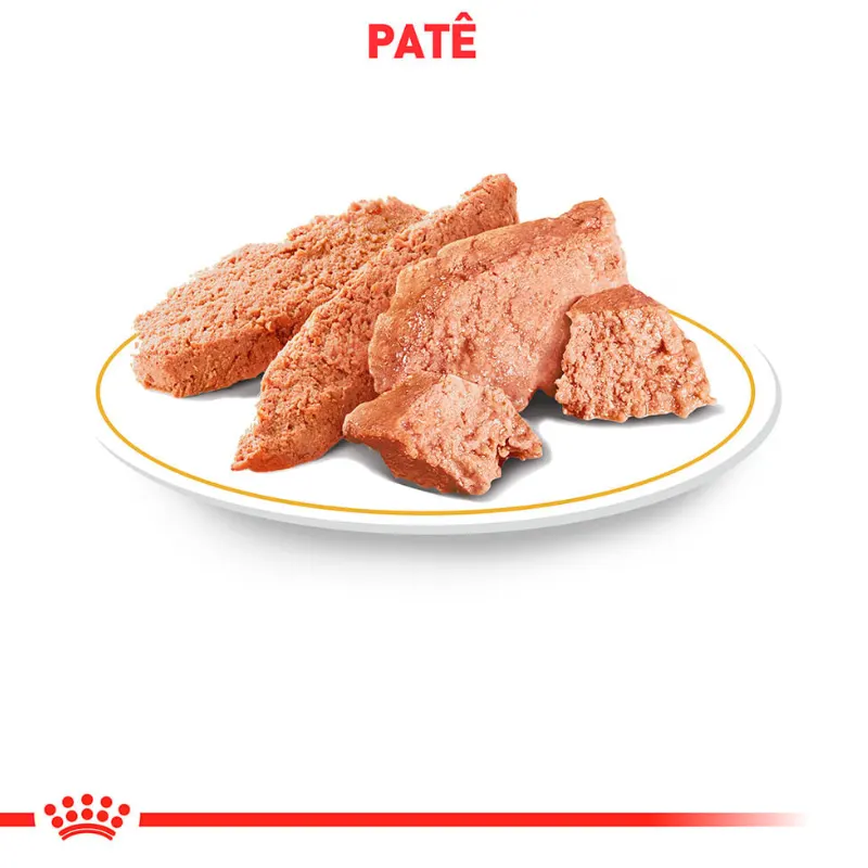 Ração Úmida Royal Canin Lata Veterinary Diet Cardiac para Cães 410 g