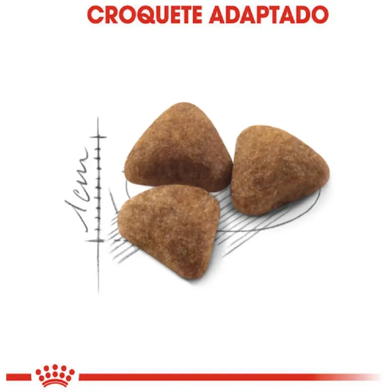Ração Royal Canin Indoor Gatos Adultos 400g