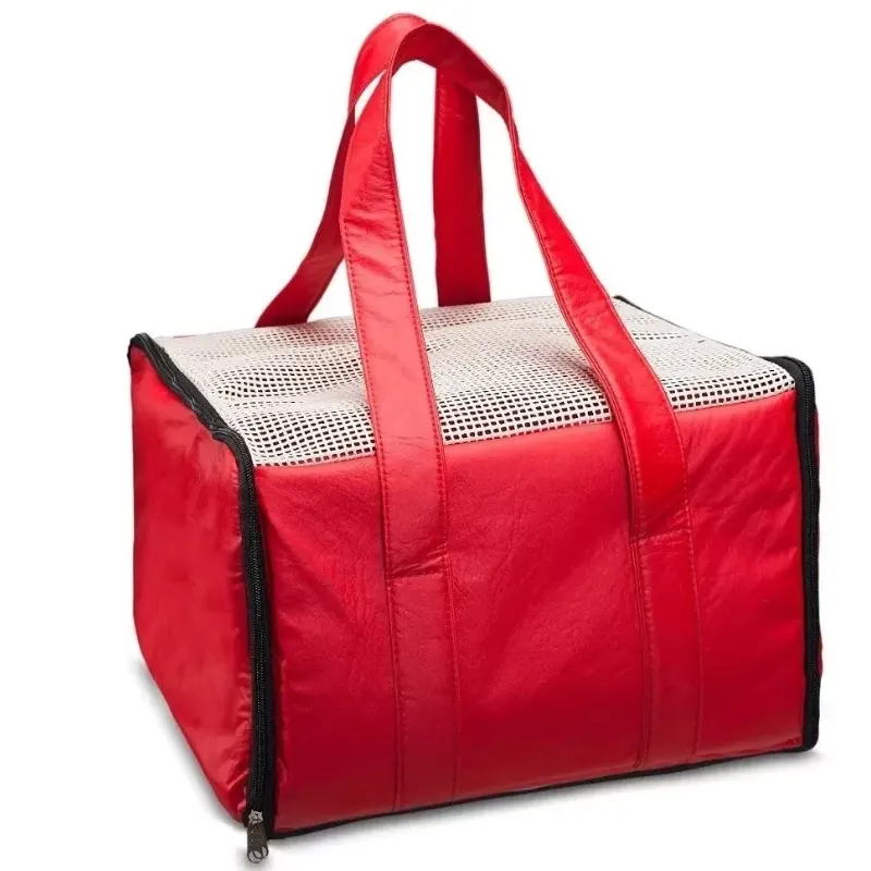 Bolsa de Transporte Aéreo Padrão Latam