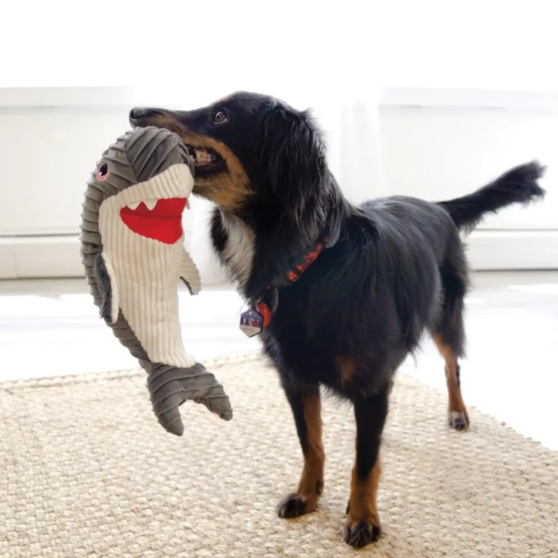 Brinquedo Kong Cuteseas Rufflez Shark Médio Grande (RLR11)