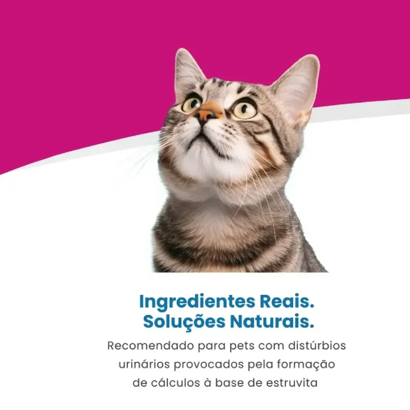 Ração Vet Life Gatos Struvite 2 Kg
