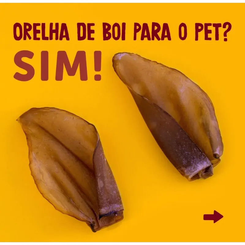 Petiscão Natural Orelha Bovina Natural com 1 UN