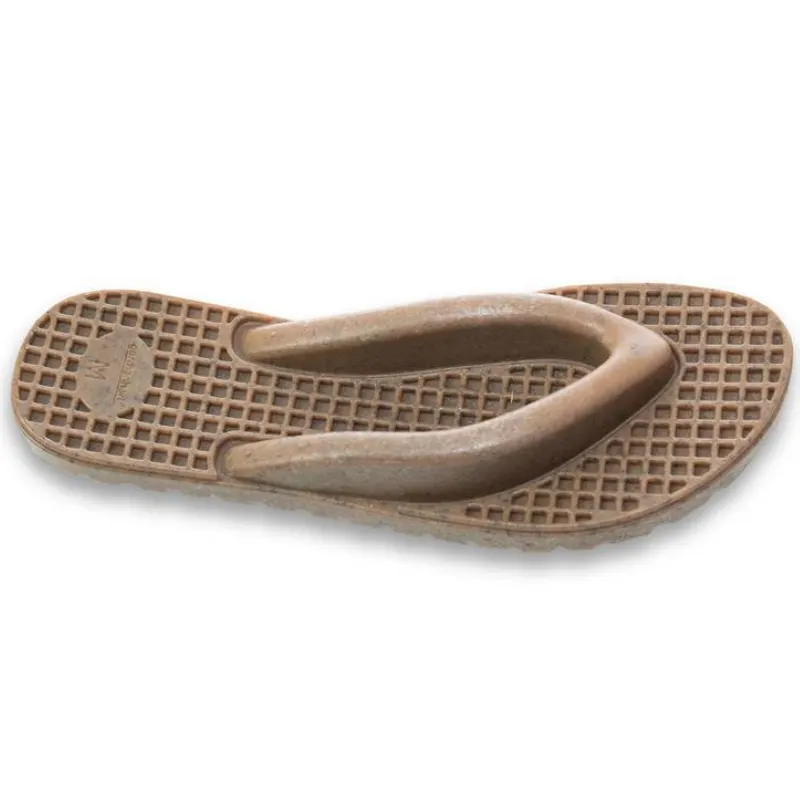 Mordedor Chinelo Hauvaianas