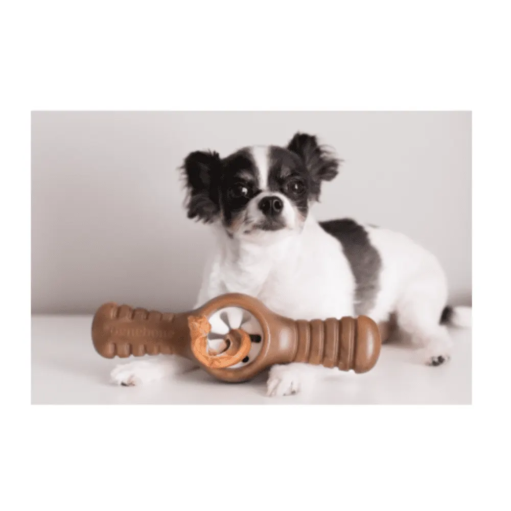 Brinquedo Benebone Pawplexer Para Cães Sabor Bacon Tam. P