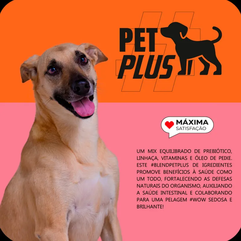 Ração Max para Cães Adultos de Médio Grande Porte Frango e Arroz 3 Kg