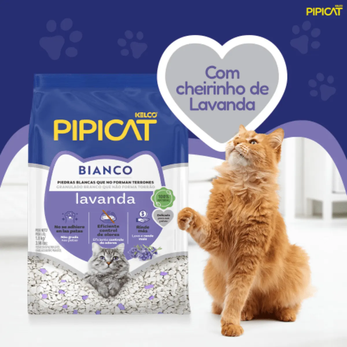 Pipicat Granulado Sanitário Bianco Lavanda para Gatos 1,8 Kg