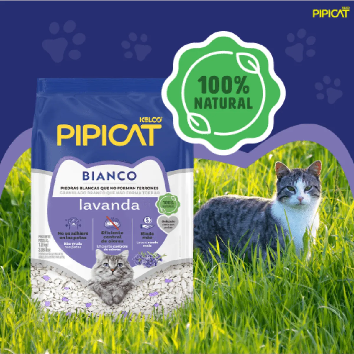 Pipicat Granulado Sanitário Bianco Lavanda para Gatos 1,8 Kg