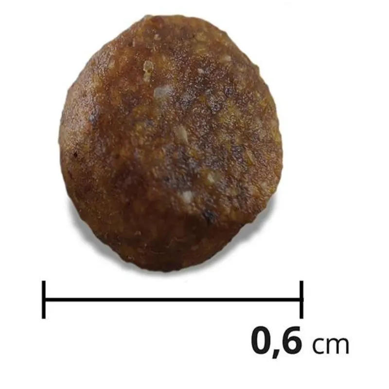 Ração Max para Cães Adultos Raças Pequenas Carne e Arroz 1 Kg