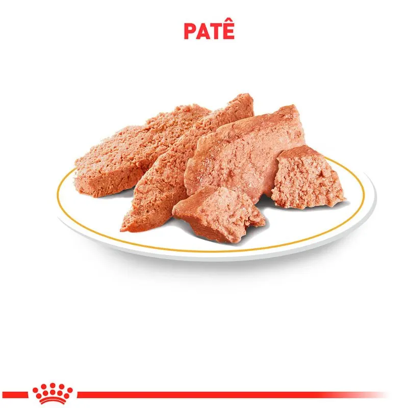 Ração Úmida Royal Gastrointestinal Low Fat Cães Adultos 420 g