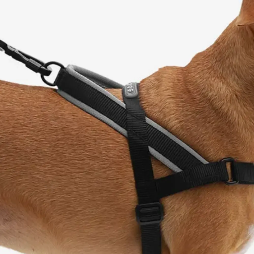 Peitoral Zee Dog Antipuxão SofterWalk para Cachorros Gotham