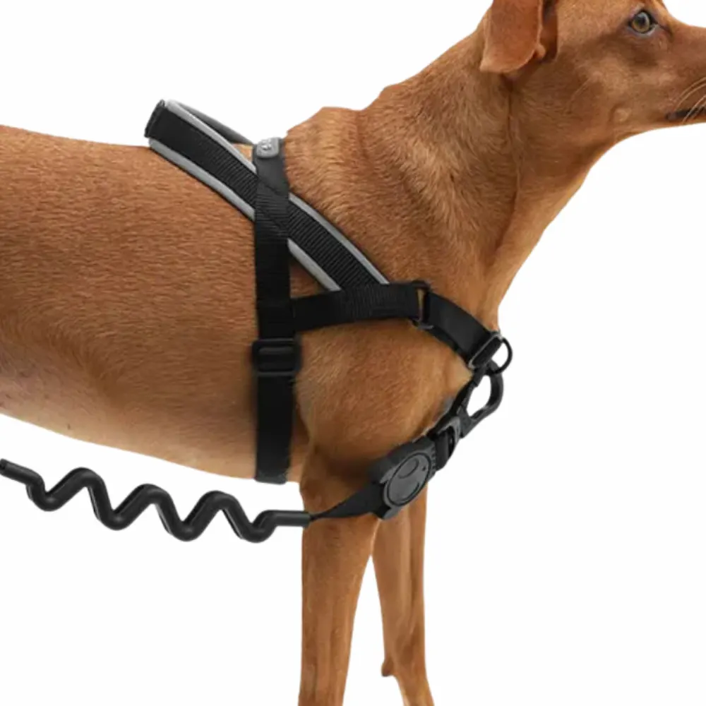 Peitoral Zee Dog Antipuxão SofterWalk para Cachorros Gotham