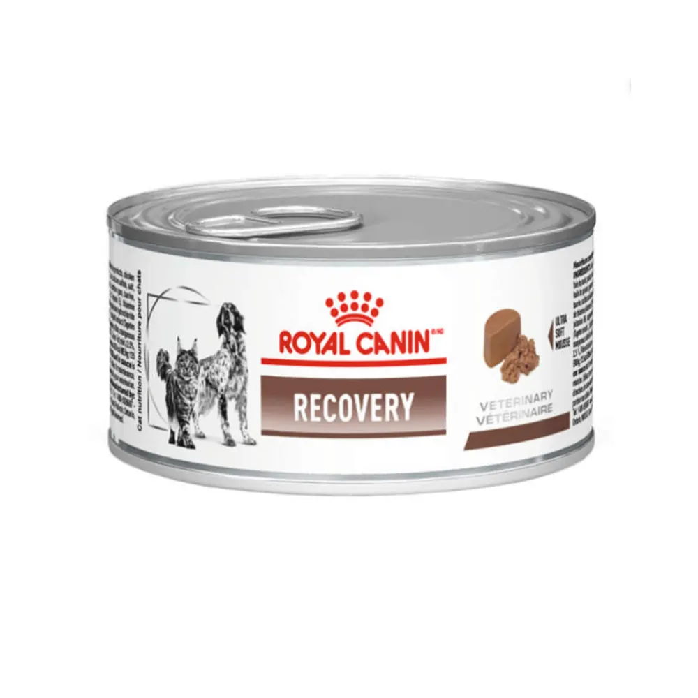 Ração Royal Canin Lata Canine e Feline Veterinary Diet Recovery Wet - 195 g
