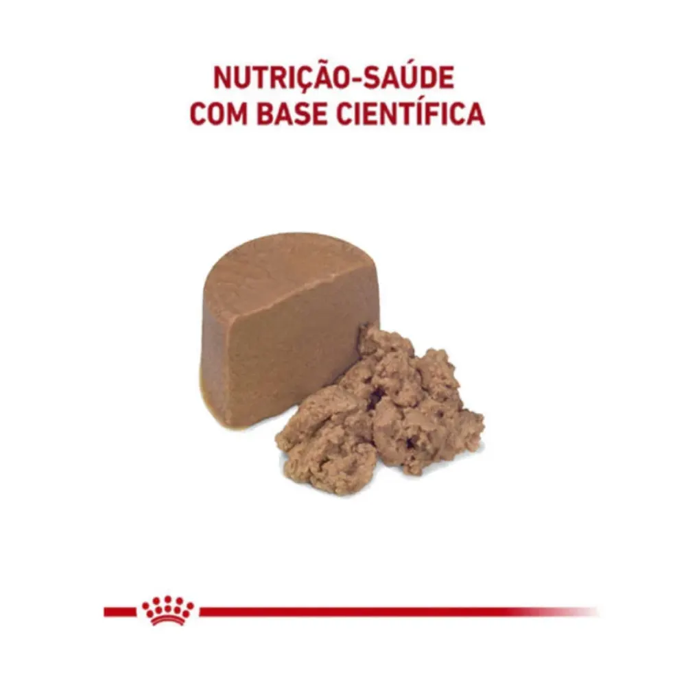 Ração Royal Canin Lata Canine e Feline Veterinary Diet Recovery Wet - 195 g