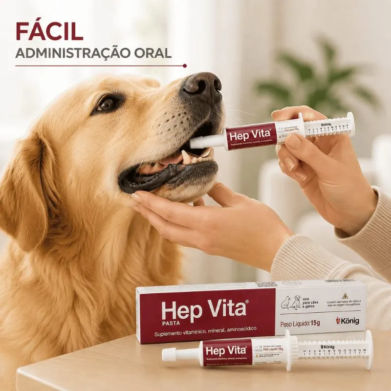 Suplemento Alimentar Hep Vita 15 g König