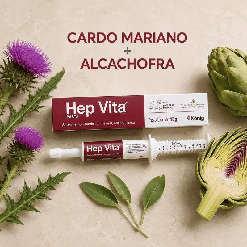 Suplemento Alimentar Hep Vita 15 g König