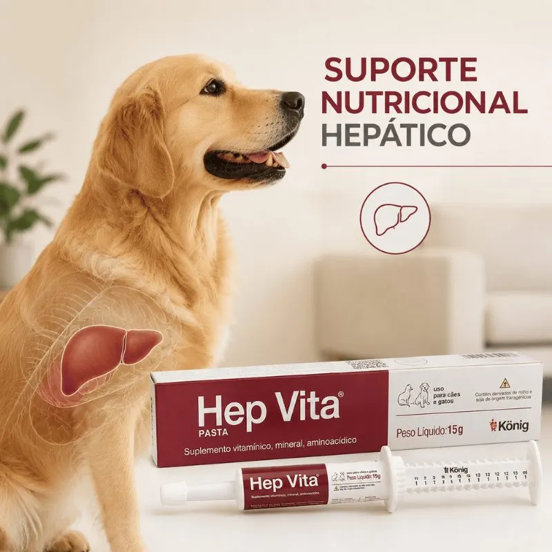Suplemento Alimentar Hep Vita 15 g König