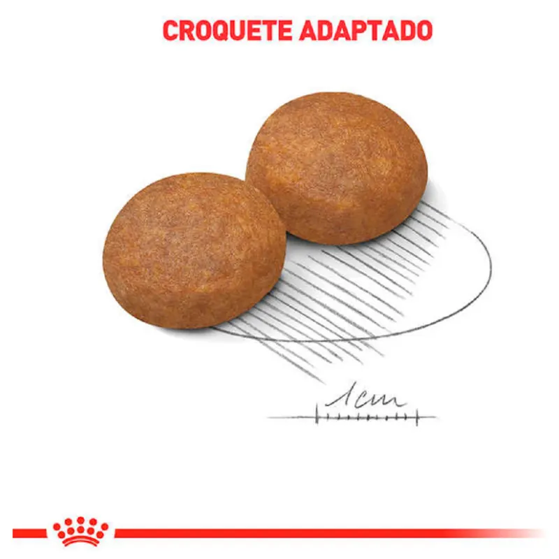 Ração Royal Canin Maxi Adult 5+ para Cães Adultos de Porte Grande 15kg