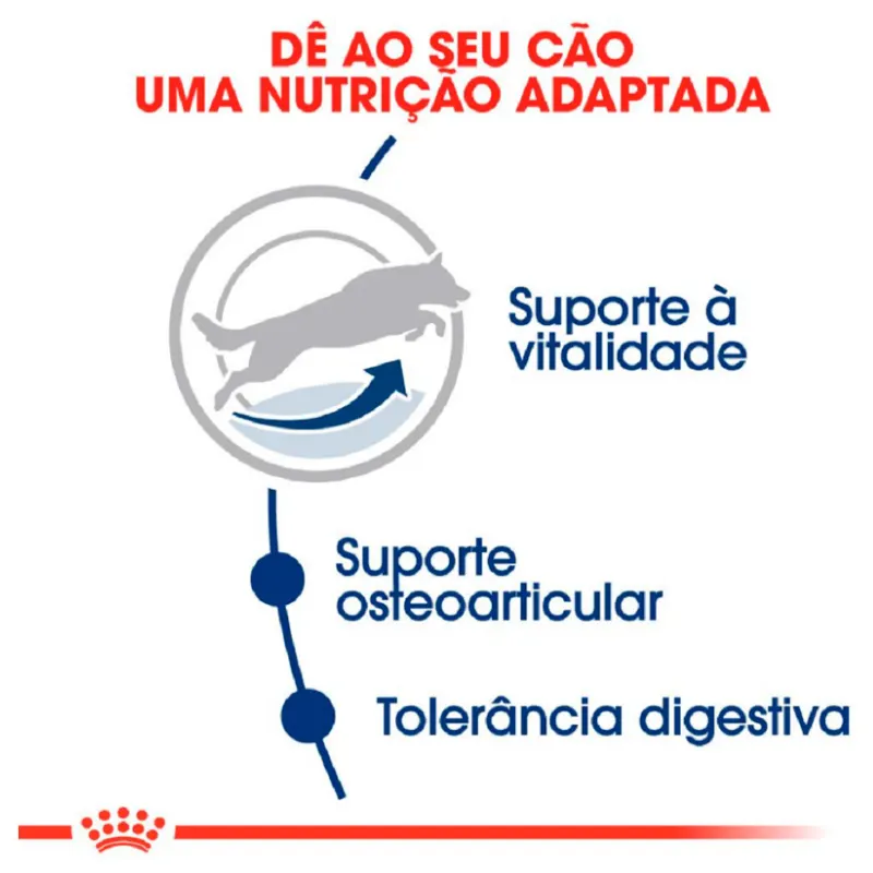 Ração Royal Canin Maxi Adult 5+ para Cães Adultos de Porte Grande 15kg
