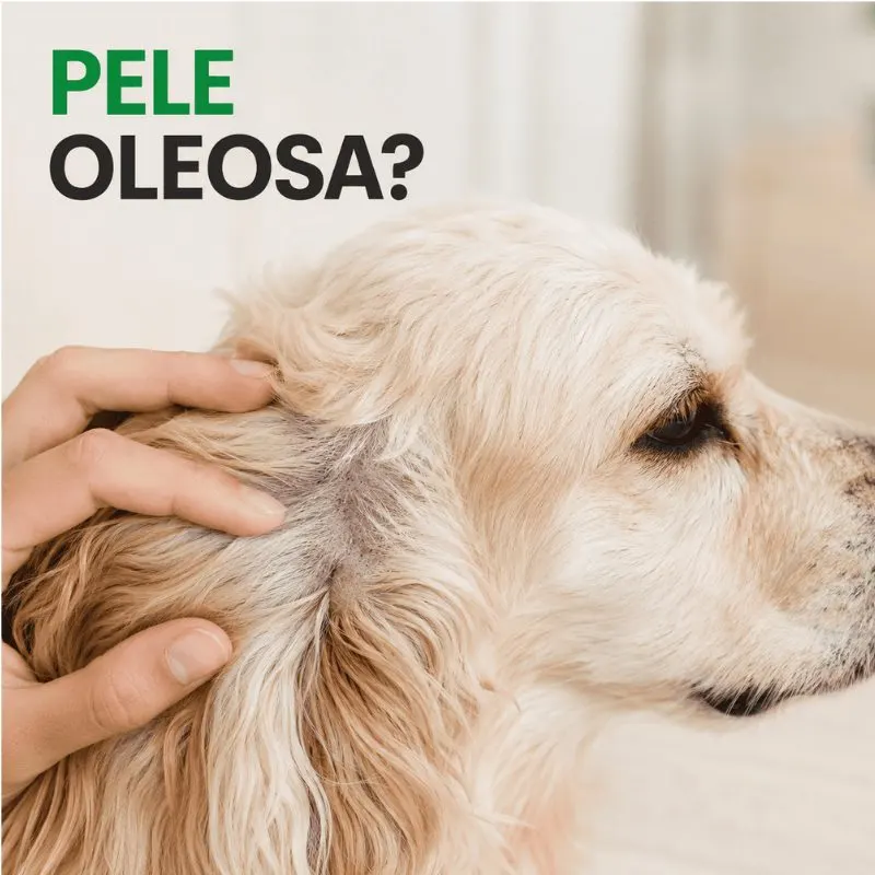 Shampoo Dermatológico Peroxsyn 200 ml König