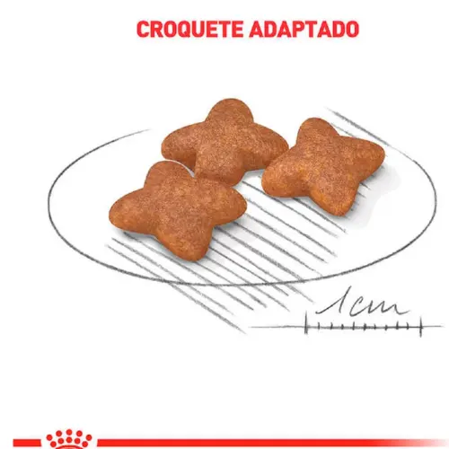 Ração Royal Canin Mini Cães Adultos de Raças Pequenas