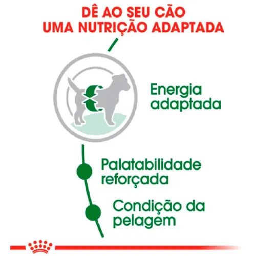 Ração Royal Canin Mini Cães Adultos de Raças Pequenas