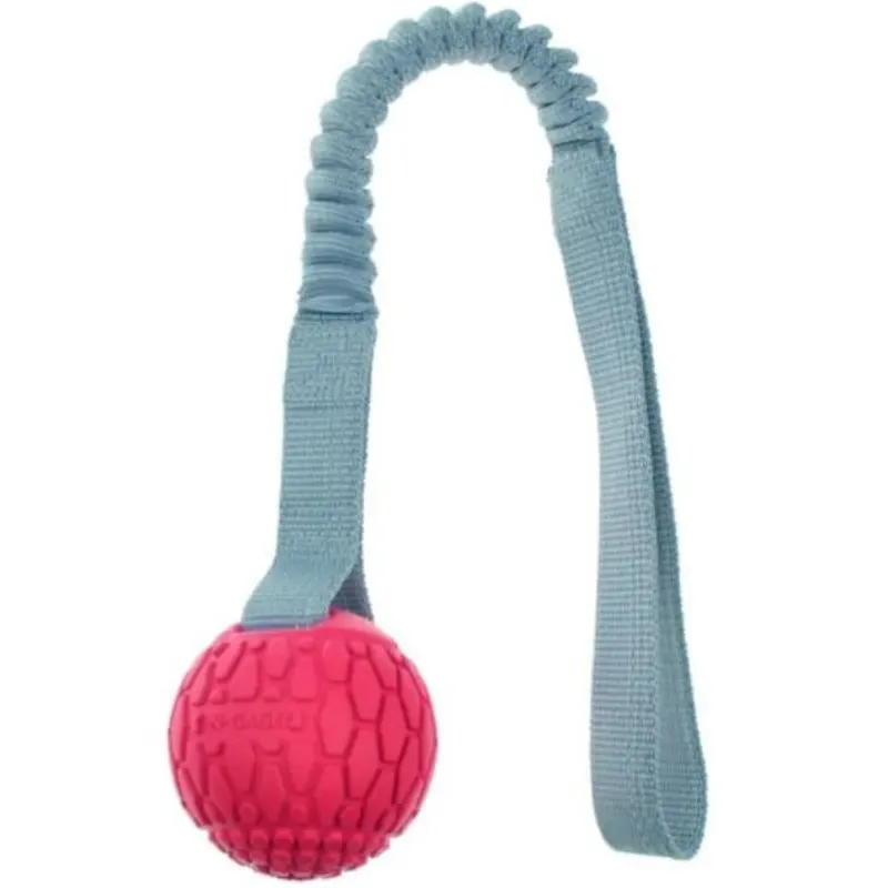 Brinquedo Para Pet Cachorro Mordedor Ngage Bungee Handler