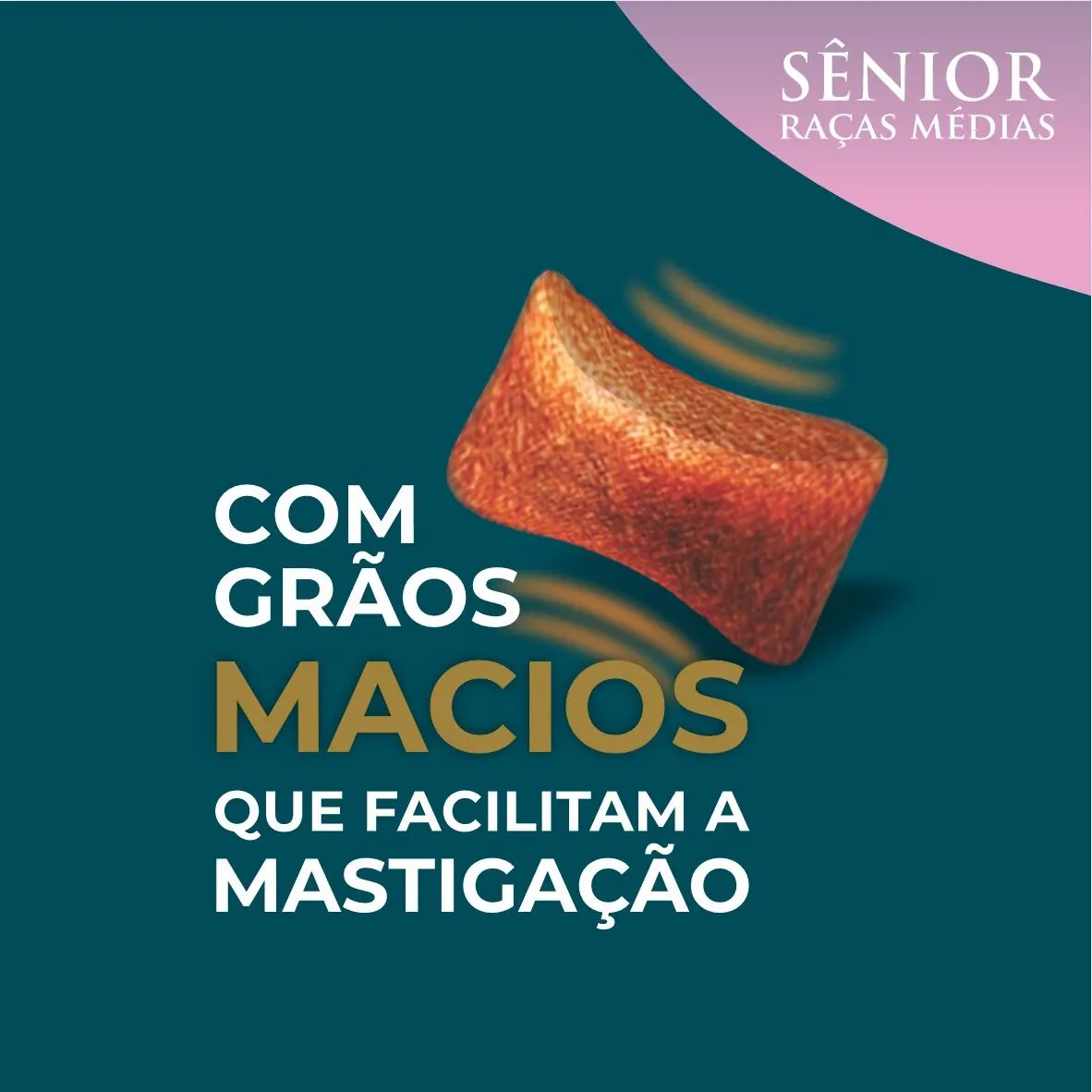 Ração Qualiday Prolife Sênior Raças Médias