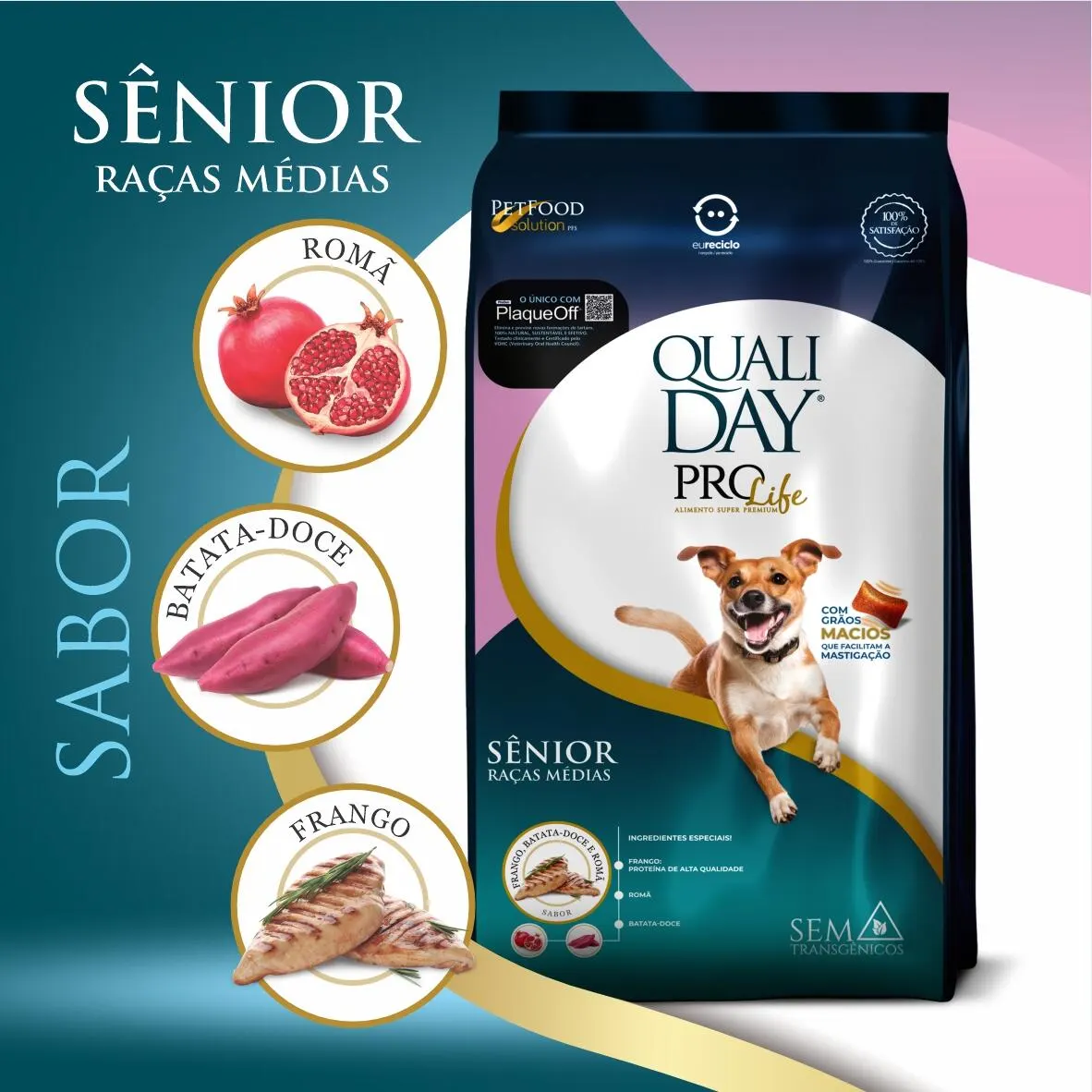 Ração Qualiday Prolife Sênior Raças Médias