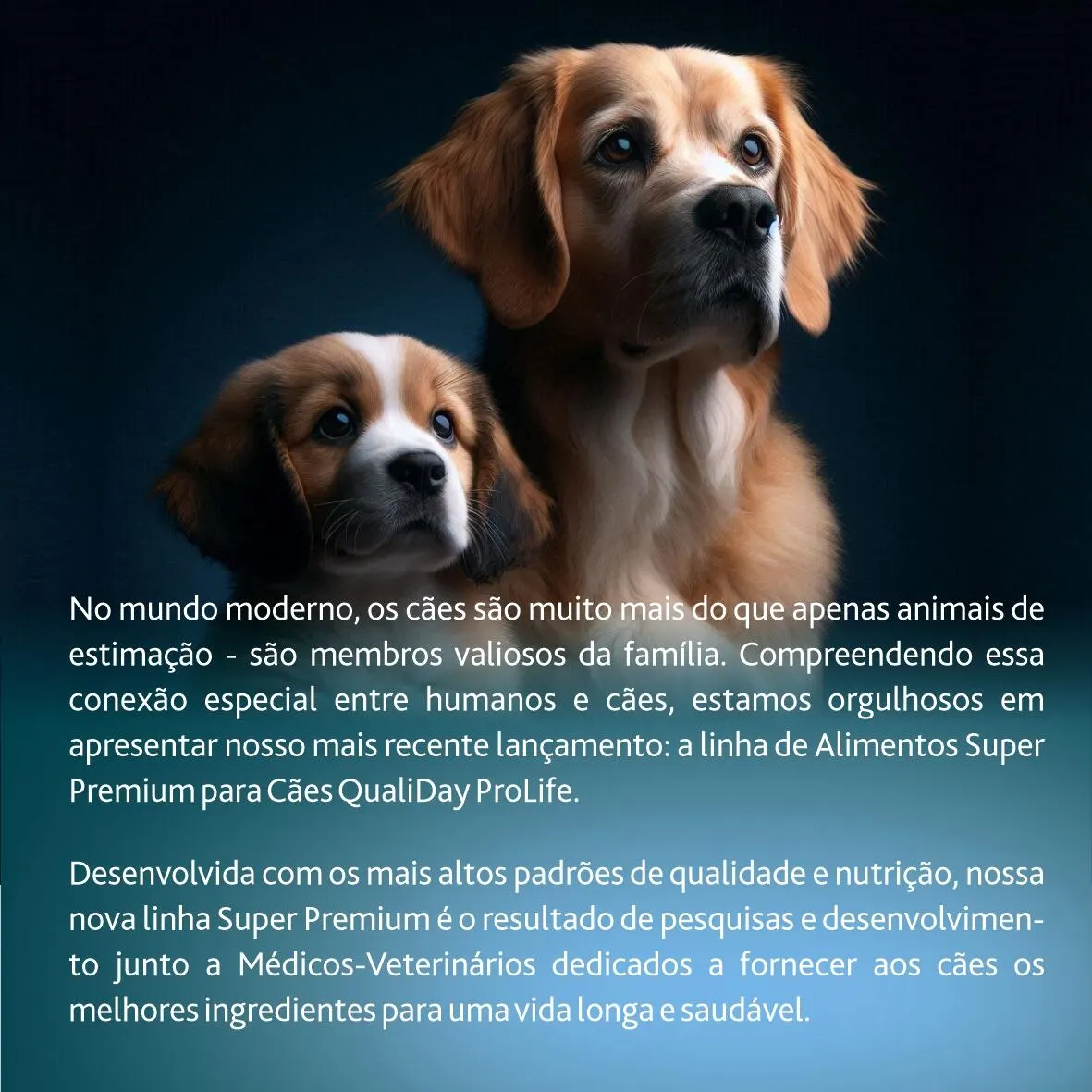 Ração Qualiday Prolife Sênior Raças Médias