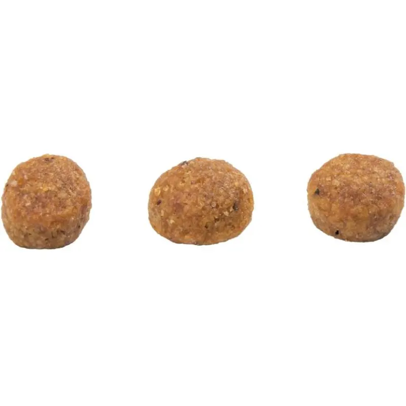 Ração GranPlus Gato Menu Adulto Castrado Salmão e Arroz