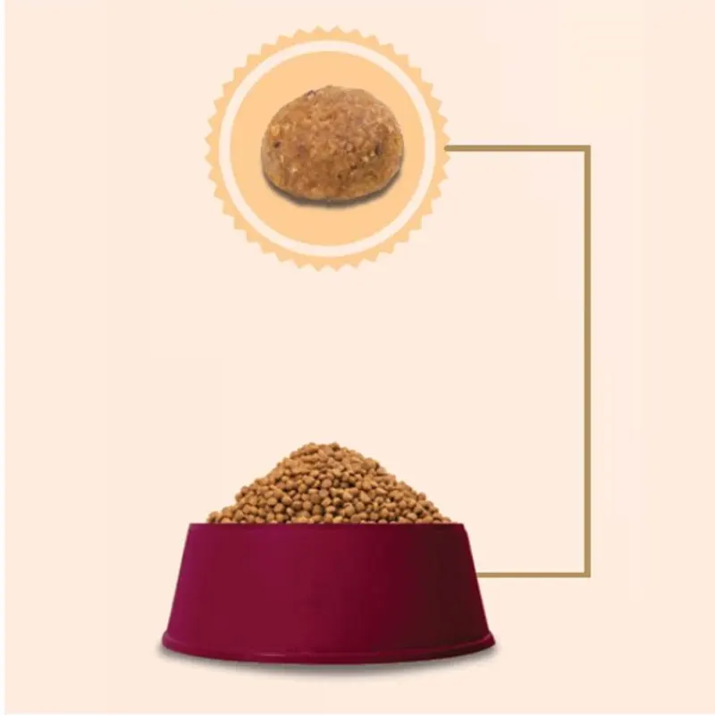 Ração GranPlus Gato Menu Adulto Castrado Salmão e Arroz