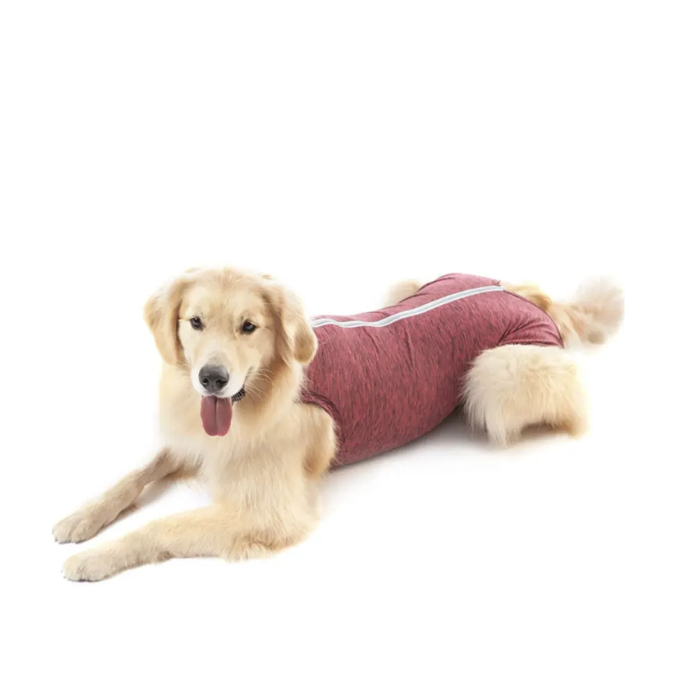 Roupa Cirúrgica  Regular Macho/Fêmea Rosa Cães  29 a 34Kg