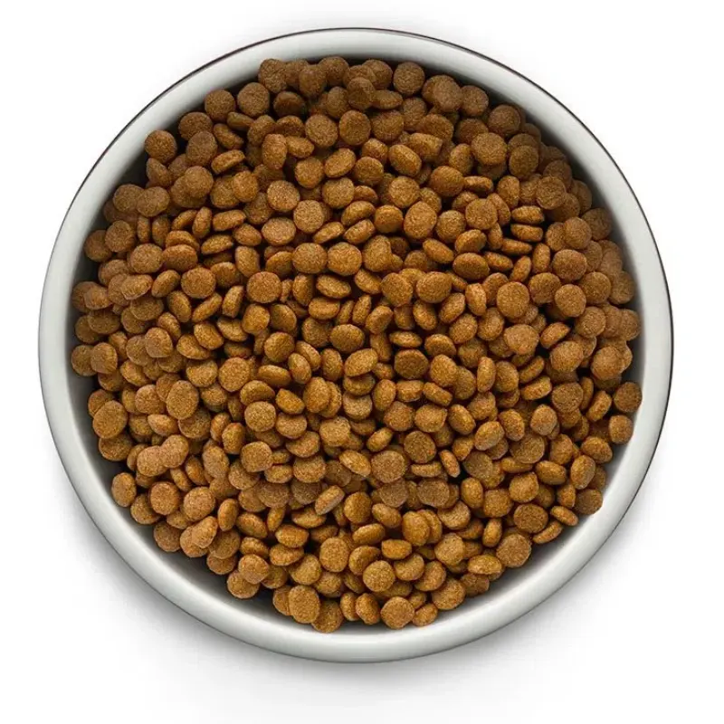 Ração Guabi Natural Grain Free Cão Adt Mini e Pequeno Salmão e Lentilha