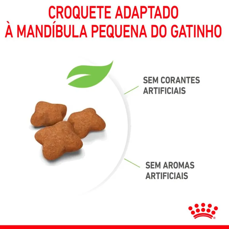 Ração Royal Canin Filhotes Castrados para Gatos Filhotes Castrados de 6 a 12 Meses 4 Kg