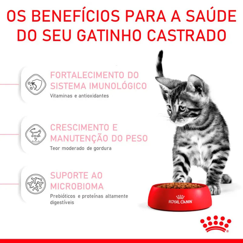Ração Royal Canin Filhotes Castrados para Gatos Filhotes Castrados de 6 a 12 Meses 4 Kg