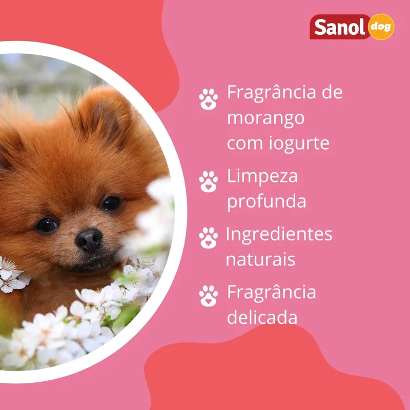 Sanol Dog Powerfruits Shampoo Morango / Iogurte 500 ml