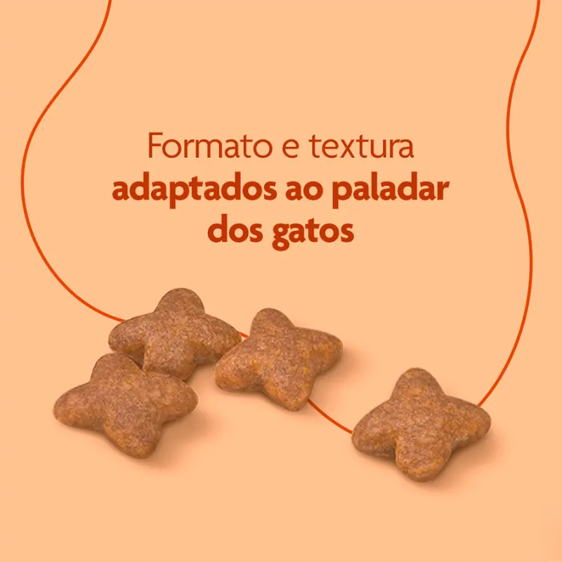 Ração Royal Canin Premium Cat Beleza da Pelagem para Gatos Adultos 1 Kg