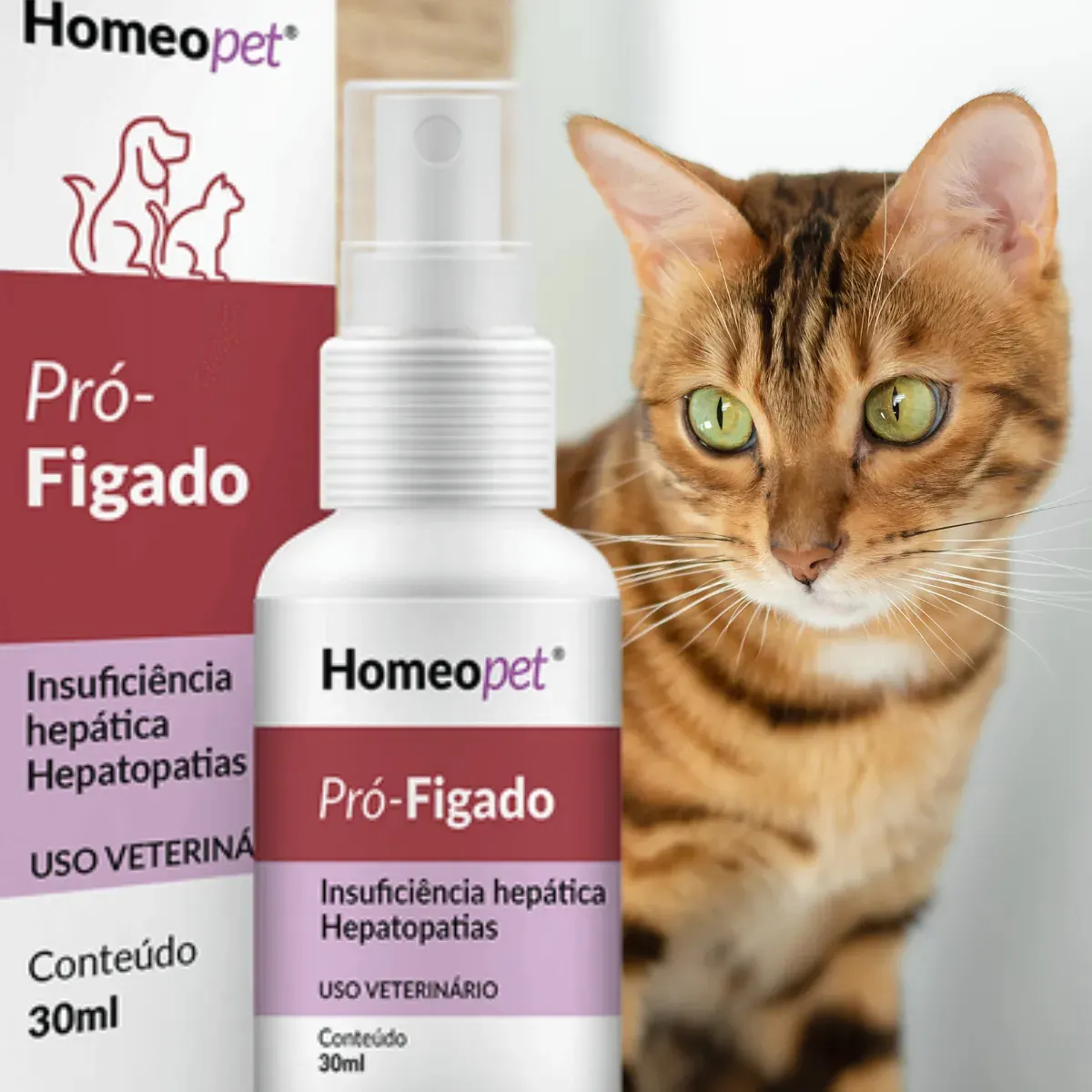 Sistema de Terapia Homeopet Cães e Gatos  Pró-Fígado - 30 ml