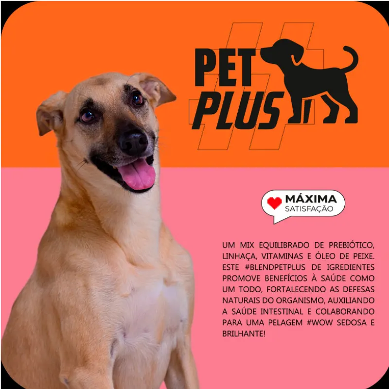 Ração Max Cães Adultos Médio e Grande Frango e Arroz 15 Kg